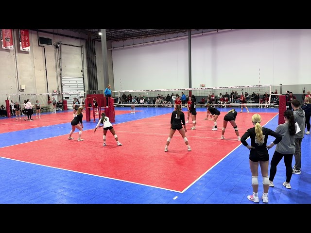 MOD 17 Gold vs Mindset 17 Red ii