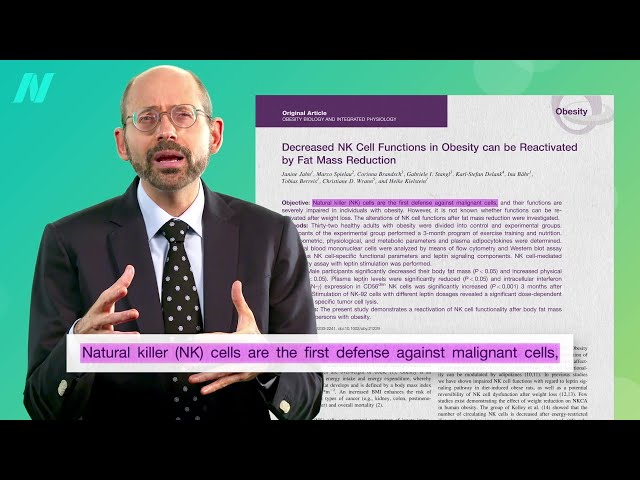 The Effects of Obesity on the Immune System and Kidney and Liver Diseases