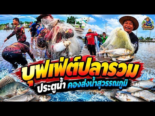 Casting a Net for a Fish Buffet at the Suvarnabhumi Water Gate!