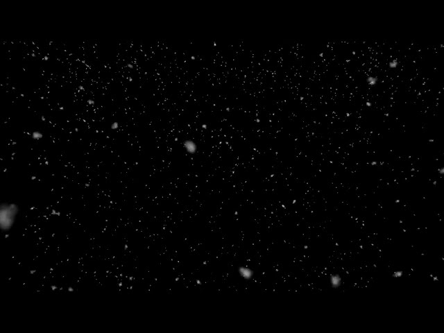 Snowfall HD 60fps (free stock footage)