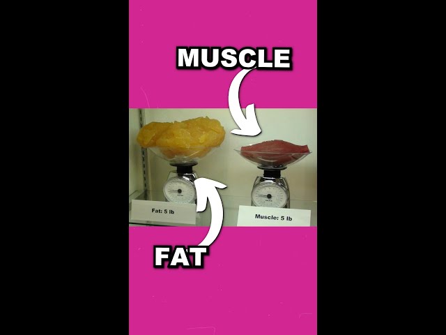 This is WHY you’re gaining weight when strength training.