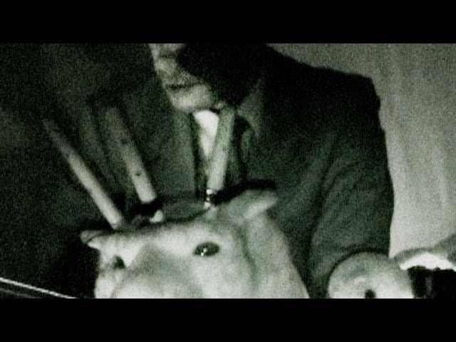 ROBERT SCHALINSKI plays the electric stuffed animal / column one