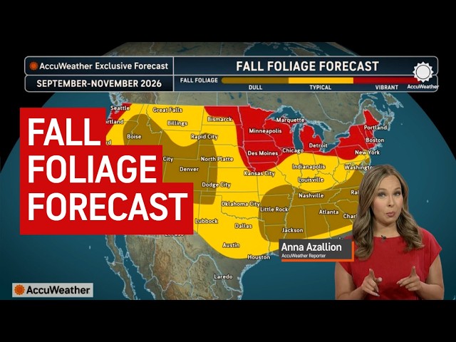 Fall foliage forecast 2026: Where to expect the best color