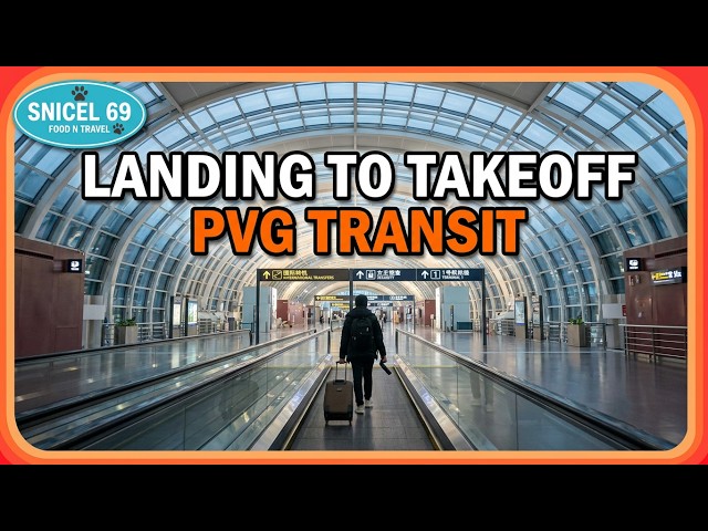 ✈️ Shanghai Airport 360° 🇨🇳 | From Landing to the Next Flight with Insta360