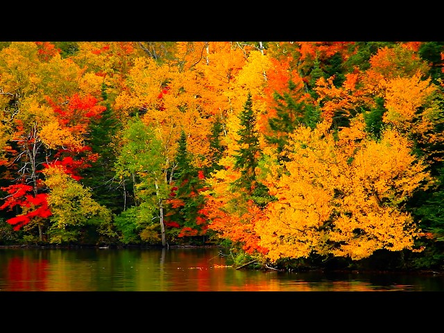 "September Autumn Peaceful Evening" Beautiful Relaxing Music, Peaceful Soothing Music by Tim Janis
