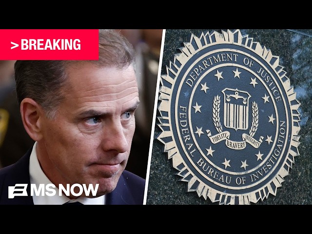BREAKING: Two ex-FBI agents charged with lying to Congress in relation to Hunter Biden probe