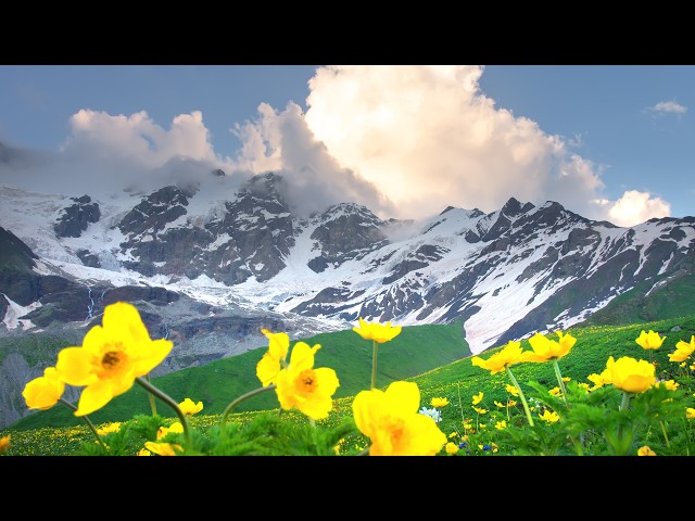 Beyond the Mountains, Beautiful Relaxing Music, Peaceful Soothing Instrumental Music by Tim Janis