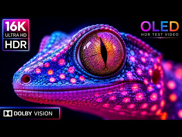 HDR at FULL POWER | 16K Dolby Vision® 120fps OLED Demo