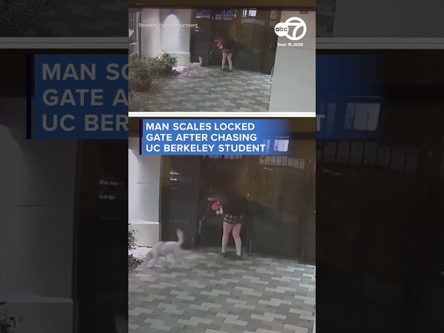 Chilling video shows man scale locked gate after chasing student home