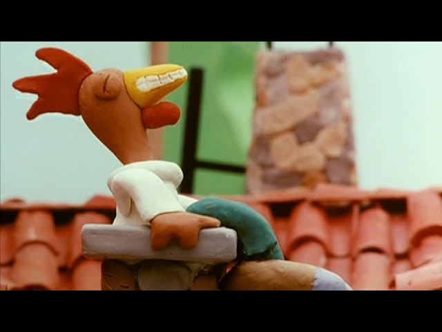 Rooster on the roof 🥴