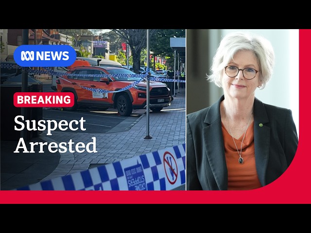 Police arrest 43yo suspect over 'attack' on MP Helen Haines | ABC NEWS