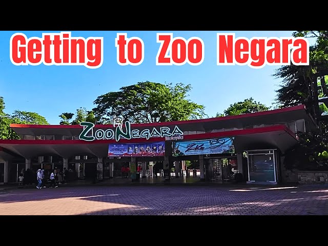The Ultimate Guide: Traveling from KL Sentral to Zoo Negara on a Budget!