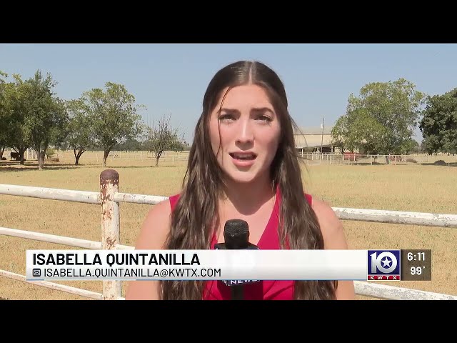 Central Texas farmers, ranchers face record heat and dry conditions