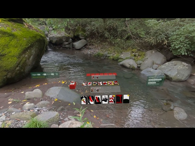 Koikoi Hanafuda on Vision Pro