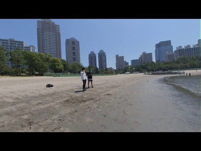 Tokyo, Odaiba Beach In 3D/VR