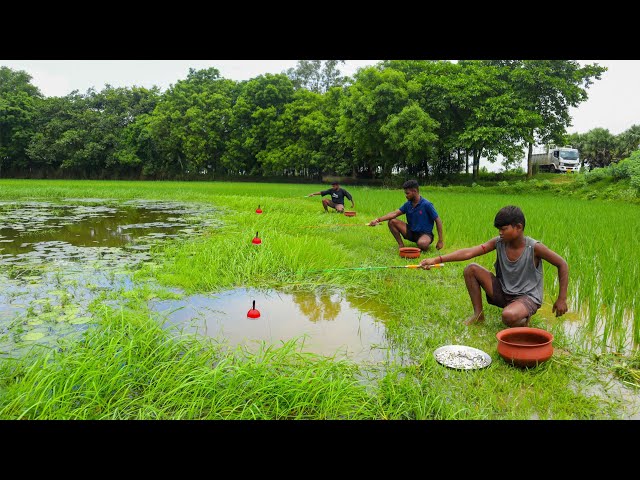 Fishing Video || Village three boys new fishing technique surprises everyone || Amazing hook fishing