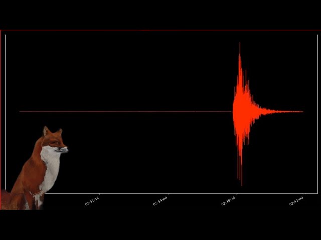 Мониторинг афтершоков на Камчатке 24/7 Aftershock monitoring in Kamchatka 24/7