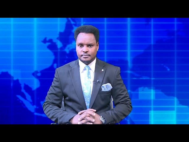Warka Universal TV 17 09 2026