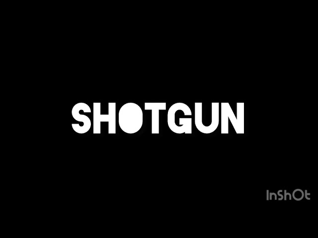FP gun test (first person!!!!)