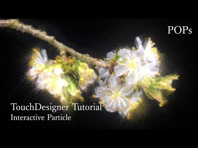 TouchDesigner Tutorial: Interactive Particle (Image to Particle)