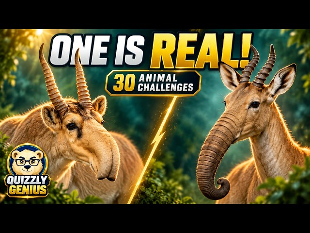 Which Animal Is Real? | 30 Strange Animals Quiz