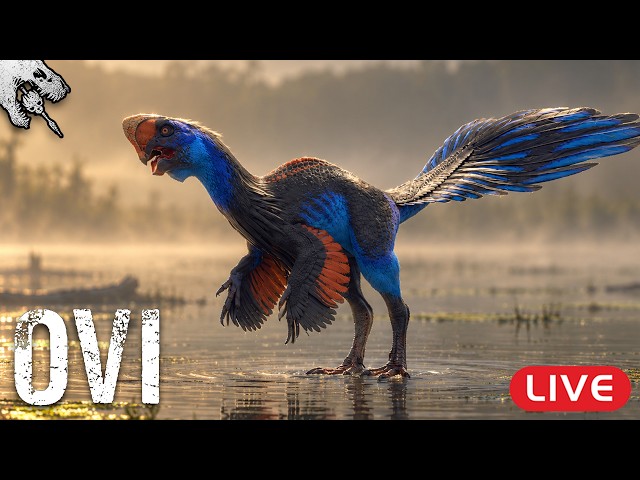 🔴 Wir testen den NEUEN OVIRAPTOR! 🦖🥚 - The Isle Livestream