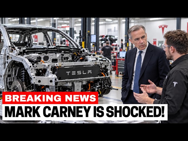 Canadian Engineers Tore Down a Tesla — What They Found Was Absolutely SHOCKING