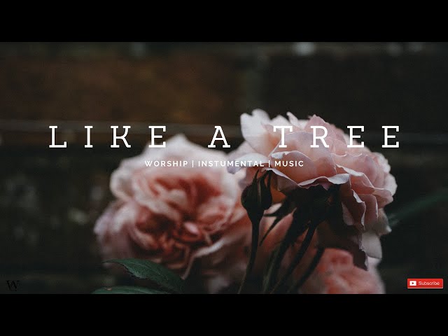 2 Hours-Instrumental Worship Music | LIKE A TREE | Prophetic Worship | Prayer and Meditation