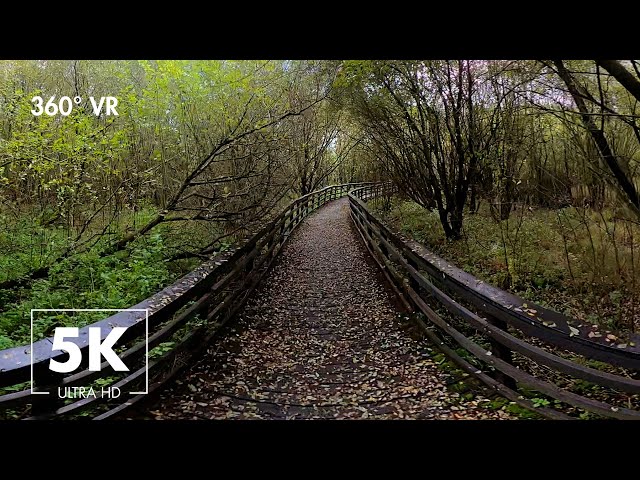 Relaxing Virtual Walk In Glastonbury UK with Nature And Bird Sounds - 360° VR 5K Ultra HD Relaxation