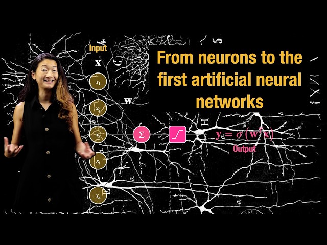 History of Neuroscience and AI: From neurons to the first artificial neural networks