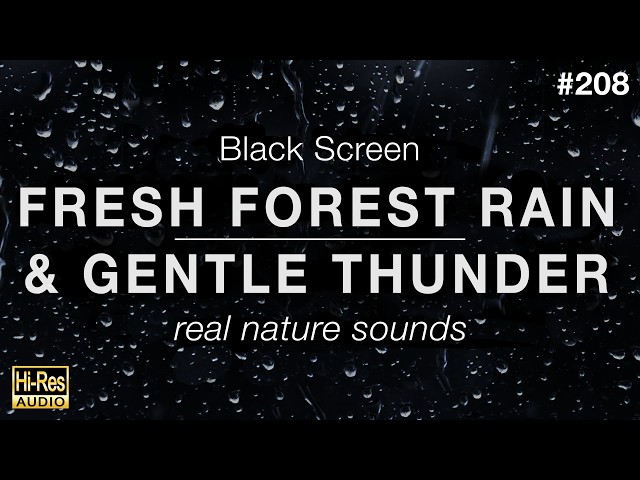 FRESH FOREST RAIN and GENTLE THUNDER Sounds for Sleeping (BLACK SCREEN)