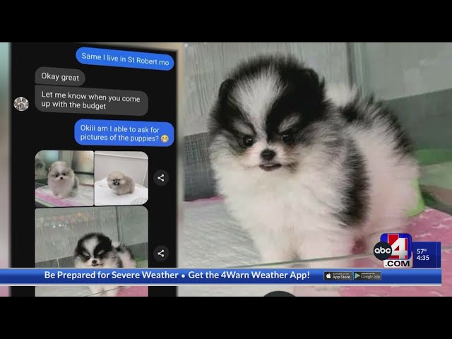 Consumer Reports: Beware of holiday scams