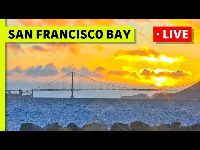 🔴 Mersea Restaurant LIVE Bay View · San Francisco Skyline, Golden Gate & Luxury Waterfront 🌉