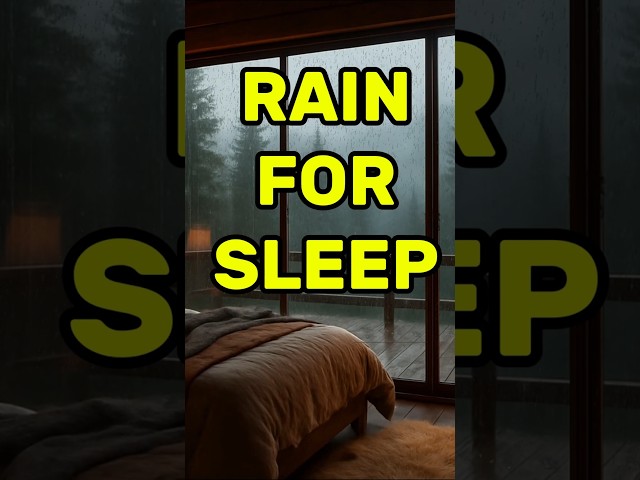 Forest Cabin Storm Thunder  Deep Relax  No Ads