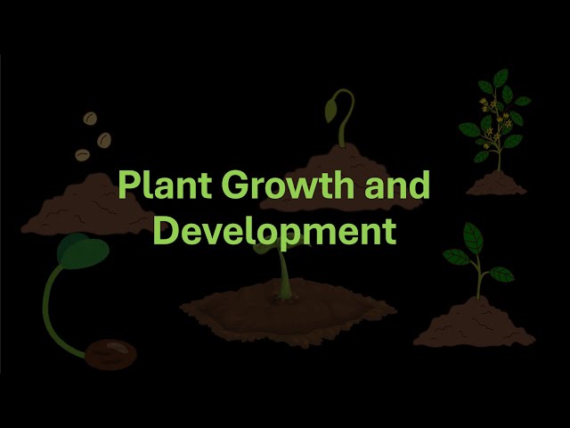 An Introduction to Plant Growth and Development | Plant Growth and Development | Class 12 | Botany
