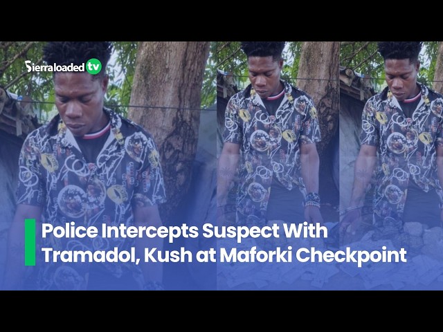 Police Intercepts Suspect With Tramadol, Kush at Maforki Checkpoint