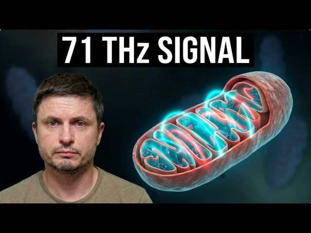 Mitochondria Are Not Just Powerhouses, They're Running the Entire Body