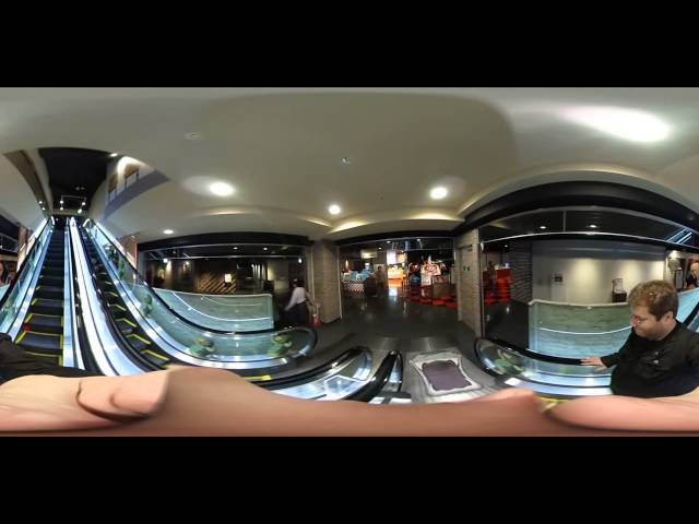 Tokyo Tower - One Piece Tower 360º