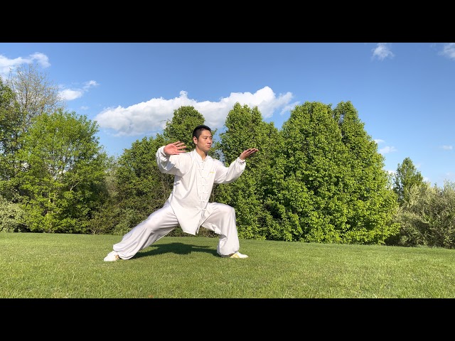 陈式太极拳规定套路（Chen Style Taijiquan Stipulate Routine  ）