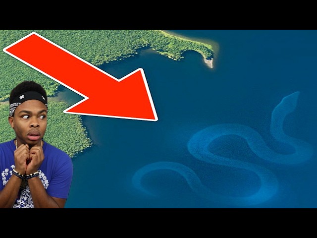 Weird Things Spotted Deep On Google Maps Part 6