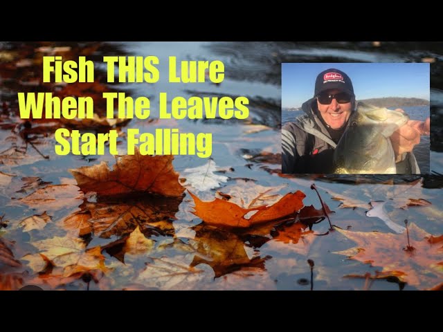 The Lure That Outproduces ALL Others Once The Leaves Start Falling