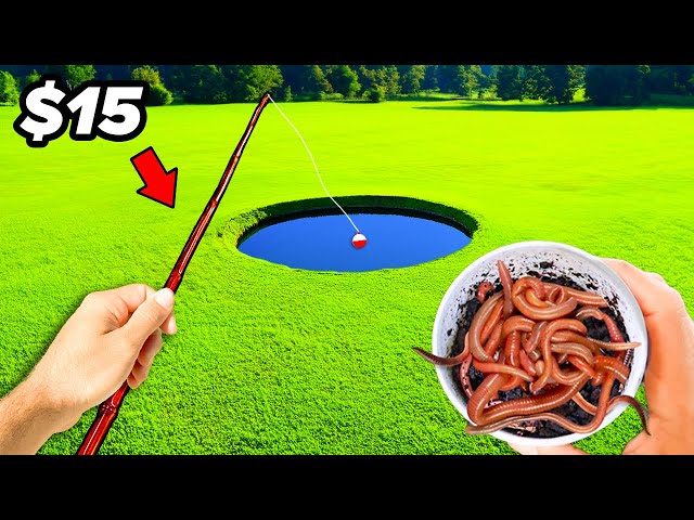 $15 vs $150 Budget Fishing Challenge (Rod, Reel, Lures)
