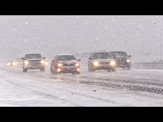 🚨 Major Winter Storm Slams The Prairies | 50 CM of Snow, 110 KMH Winds & Freezing Rain