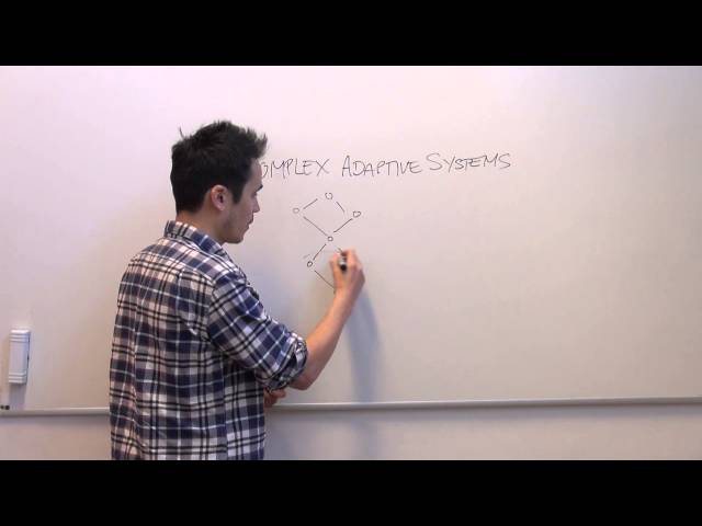 What are complex adaptive systems?
