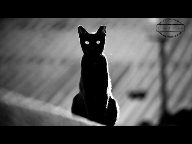 Qodës - Big Book (Orignal Mix)