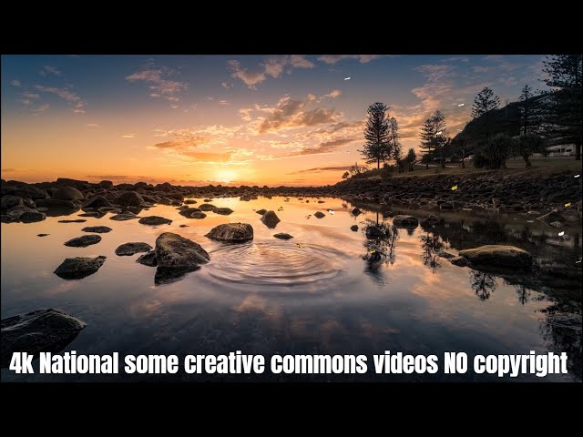 4k No Copyright Background Nature Video (With Music) - Free Stock Footage