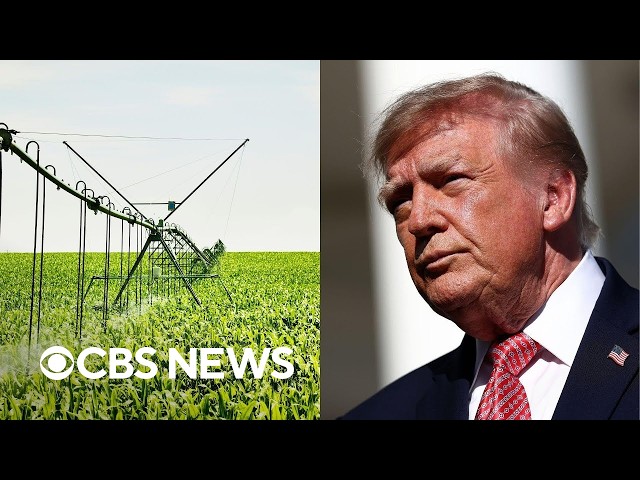 Trump announces $8 billion relief money for farmers but their huge economic concerns linger