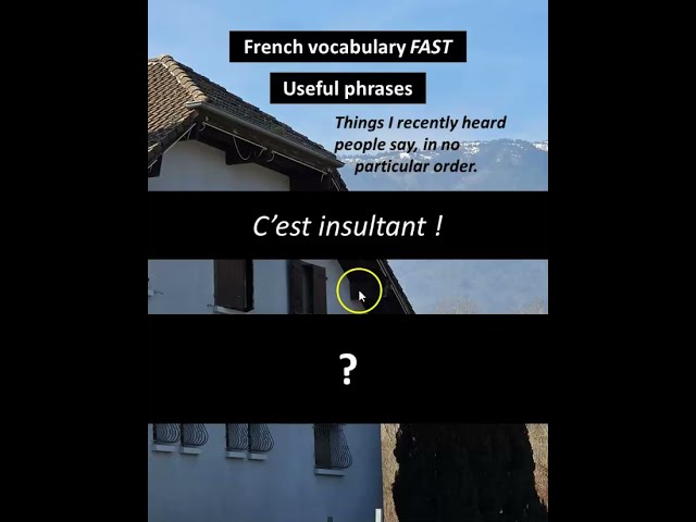 "C'est insultant !" meaning in French #frenchforbeginners #french #frenchvocabulary