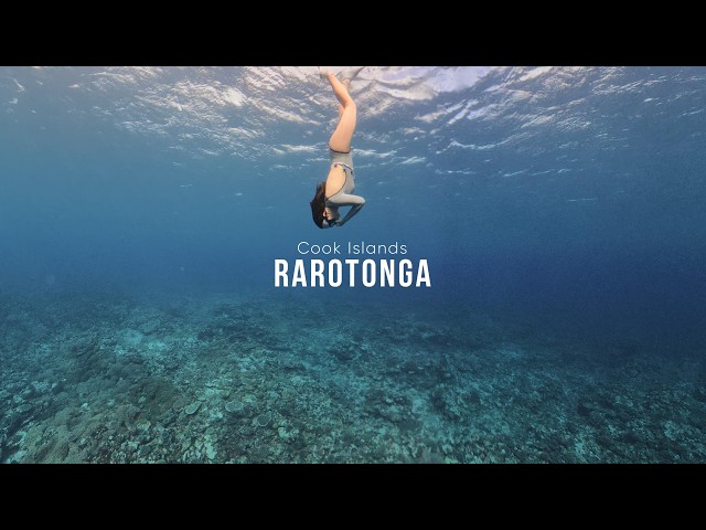 [VR 8K] Cook Islands Rarotonga Outer Reef Freediving 360 Video