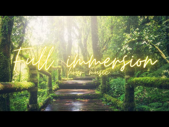 Music for full immersion! Complete relaxation!